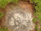 image of grave number 808722